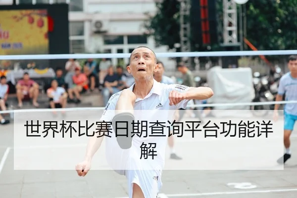 世界杯比赛日期查询平台功能详解