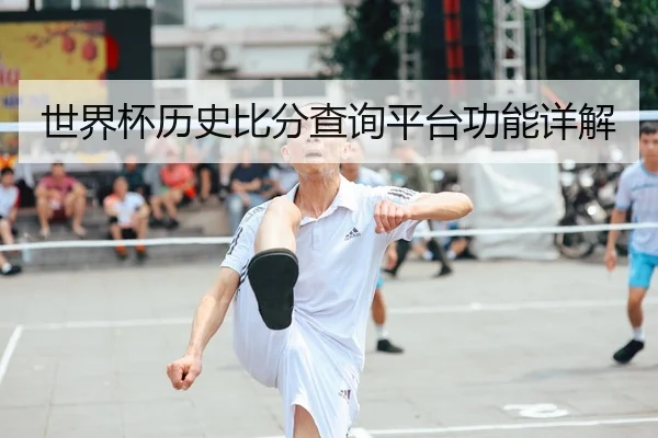世界杯历史比分查询平台功能详解