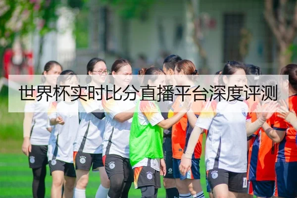 世界杯实时比分直播平台深度评测