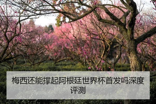 梅西还能撑起阿根廷世界杯首发吗深度评测