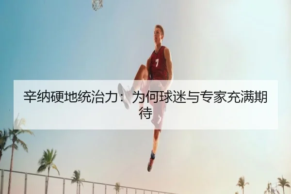辛纳硬地统治力：为何球迷与专家充满期待